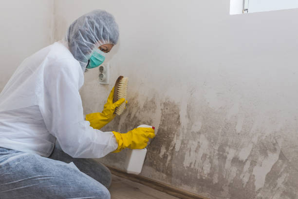 Best Forensic Mold Investigation  in Granite, OK