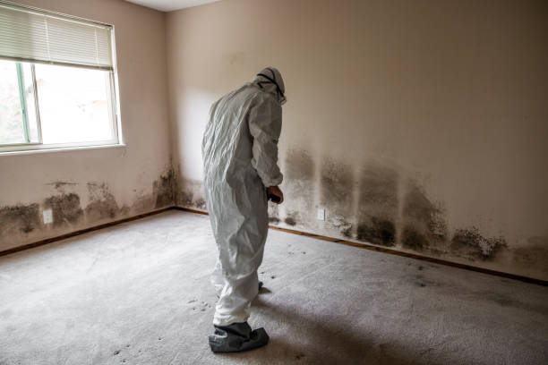 Best Commercial Mold Inspection  in Granite, OK