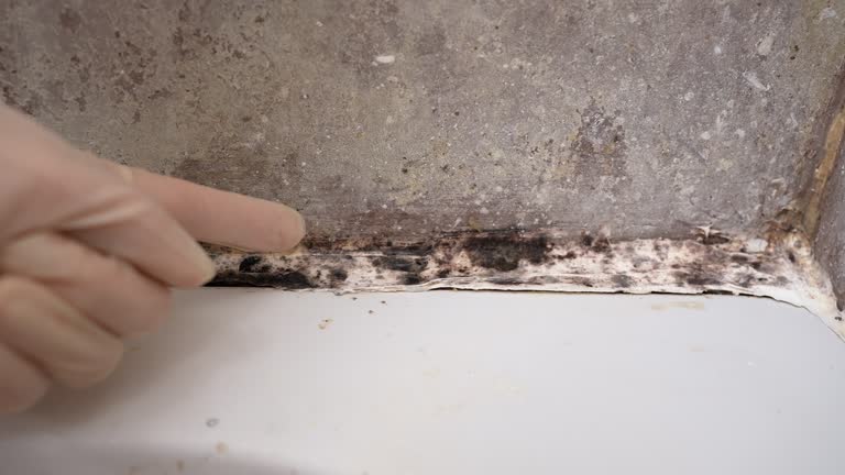Mold Remediation for Vacation Homes in Granite, OK