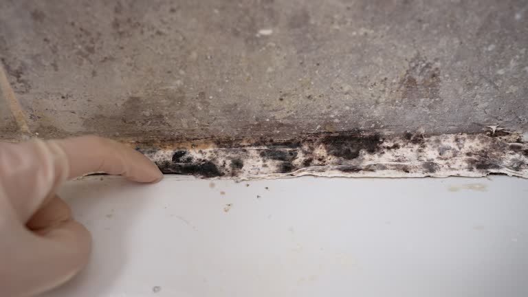 Best Emergency Mold Remediation  in Granite, OK