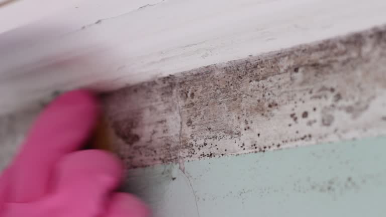 Best Mold Documentation for Insurance Claims  in Granite, OK